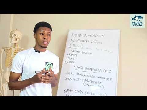 RAAS Explained Simply | Blood Pressure Control Made Easy