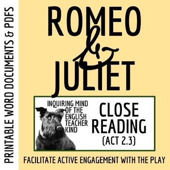 Romeo & Juliet Act 2 Scene 3 Analysis Worksheet and Key | Shakespeare Activity