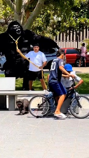 #funny #happy #joke #droll #funnymemes #funnyvideos #funnymoments #prankster #prank #magic #humor #laughter #laugh #memes #memesfunny #explore #dailymemes | R like funny