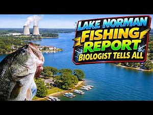Lake Norman Bass Fishing Report with Biologist Casey Joubert