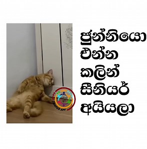 😹😹😹😁😁 | කැම්පස් අපි / campus api