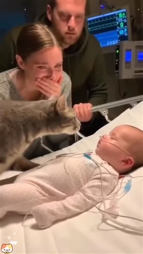 AI Studio on Instagram: "2001년 개봉한 영화 “A Beautiful Mind”는 단순히 천재 수학자의 삶을 다룬 작품이 아니라, 인간이 내면의 혼란 속에서도 어떻게 사랑과 신뢰로 자신을 되찾아가는지를 보여주는 깊은 이야기입니다. 화려한 계산 장면보다 존 내쉬가 마음속 그림자를 이겨내려는 순간들이 훨씬 더 오래 기억에 남죠. 특히 그가 현실과 환상 사이에서 흔들리면서도 끝까지 아내를 향한 마음을 놓지 않는 모습은 묘하게 가슴을 저릿하게 만듭니다. 이 영화에서 감정을 완성시키는 요소는 바로 잔잔한 피아노 선율과 차분한 배경음악입니다. 처음에는 조용히 스며들지만, 어느 순간 관객도 모르게 내쉬의 감정에 같이 잠기게 되죠. 후반부, 아내가 내쉬의 손을 잡아주던 장면에서는 음악과 화면이 자연스럽게 겹쳐지면서 눈시울이 뜨거워지는 경험을 하게 됩니다. 많은 이들이 “이 장면만 떠올려도 이상하게 마음이 찡하다”고 말하는 이유도 그 때문일 겁니다. 이 영화가 여러 상을 휩쓴