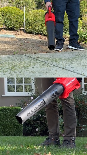 21K views · 51 reactions | Yard waste isn’t welcome. Fight back...