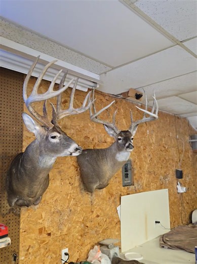 Comparing Gun Sizes: The Differences Explained