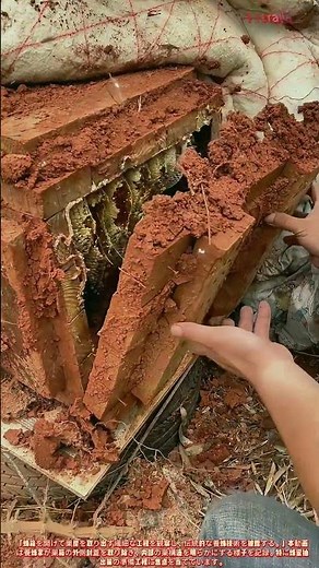 蜂箱を開ける：蜂蜜収穫の準備