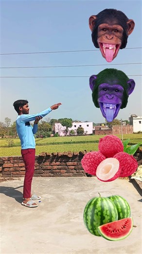 Rounding coconut to Duck, Peacock, Pigeon& Parrot - Birds names magic video #shorts