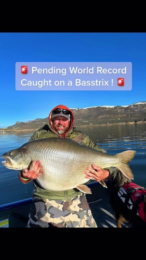 Pending World Record Lake Trout caught on a Basstrix. #laketrout #laketroutfishing #fishing #worldrecord #worldrecordfish #trout #troutfishing #igfa