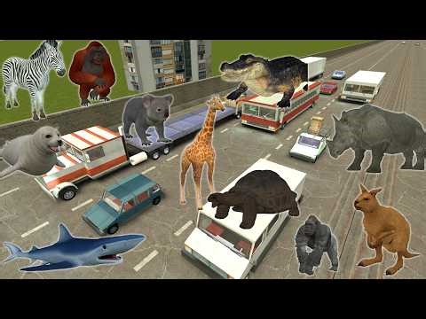 What Happens When All Animals Escape on the FREEWAY? (GMod)