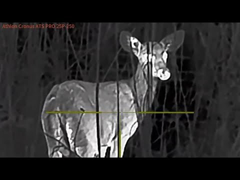 Athlon Cronus ATS PRO 25P-250