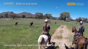 🦒🦒🦒Au galop, direction la Namibie pour des safaris sur des pur-sang arabes d'endurance ! ✅ 10 jours à partir de 3720 € avion inclus ➡ Plus d'infos : http://www.randocheval.com/Programmes/ch53_namibie.htm ➡ Contactez-nous au 04 37 02 2000 ou info@randocheval.com | Randocheval