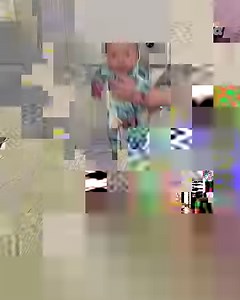 This turtle has some serious speed 🐢🏎 | Tyla