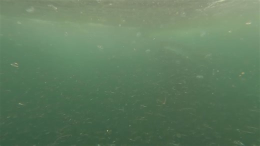 Video Jul 18 2024, 5 56 15 PM