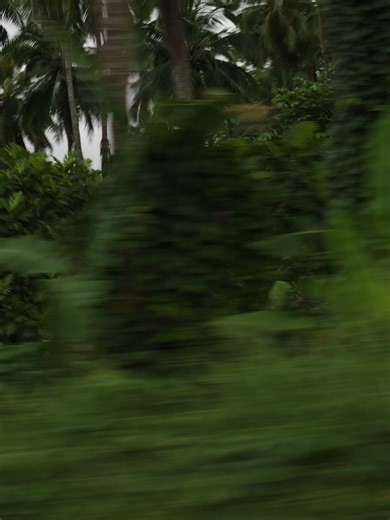 Discovering the Paradise of Tahiti: Surf and Aesthetics