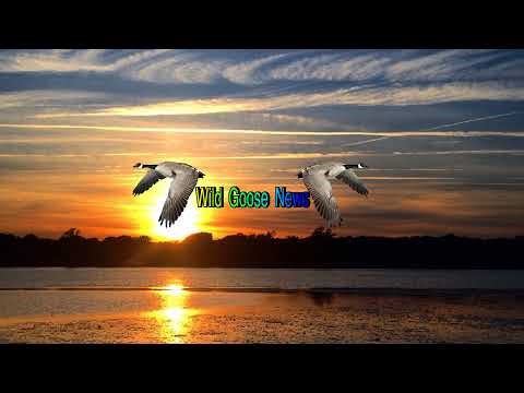 3-24-26 A 7.6 ⬇️ 7.5 WSW of Neiafu, TONGA REGION USGS PREMIUM please check comments update