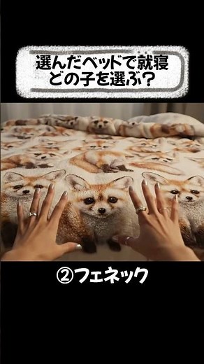 １つ選ぶならどのベッド？布団の中の癒し🦊【ASMR】