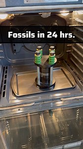 The Fossil Maker creates fossils in 24 hours. Suggesting that rapid fossilization would have been one of the characteristics of the Global Flood of Noah in 2348 B.C. #fossils #science | Lost World Museum