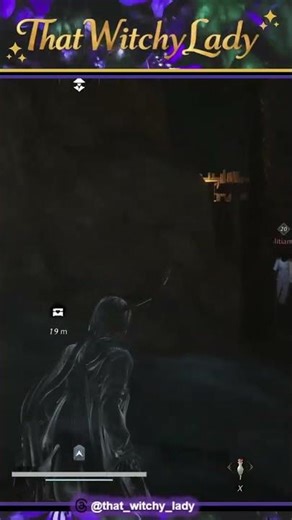 When things go exactly as you'd hoped. | #thatwitchylady on #Twitch