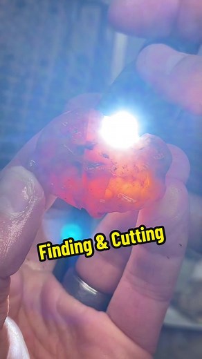 Agate_Dad on TikTok
