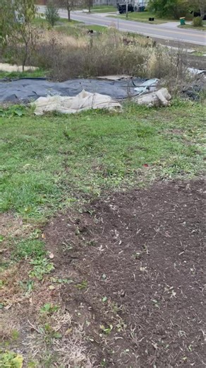 1K views · 20 reactions | One step forward two steps back | Half Barn Farm | Facebook