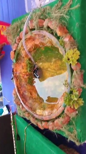 Social science exhibition/ Amazing working model/