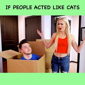 3M views · 85K reactions | *opens catnip* 若 Kurt Tocci | Smile Squad Comedy | Facebook