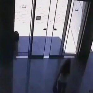 8.5K views · 232 reactions | Glass doors can be tricky :D By: Adnan Mansoor | Vines | Facebook