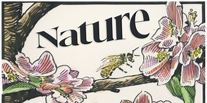 What to Read This Spring: The Best Books on Nature
