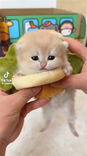 ١٣ مارس ٢٠٢٦