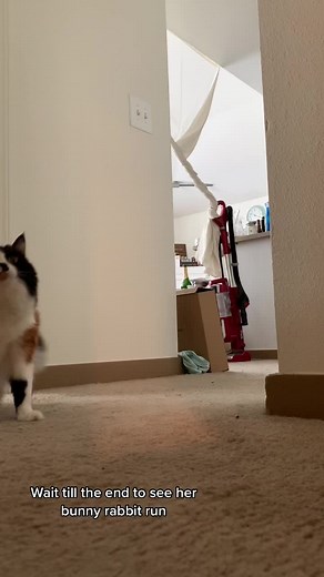 Callie Buttons on TikTok