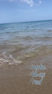 🌴🌊 Take a moment to just enjoy the simple pleasures at The Fred in St. Croix. 🐚🌿 The sights and sounds of the ocean waves crashing against the shore, the gentle rustling of palm leaves in the breeze, and the vibrant colors of nature enveloping us in tranquility. 🌅🦜 Disconnect from the hectic pace of everyday life and embrace the stillness 🐠🐙 Book today at https://sleepwithfred.com/. | The Fred