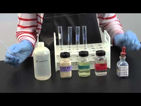 Macromolecule Lab - Proteins and Starches