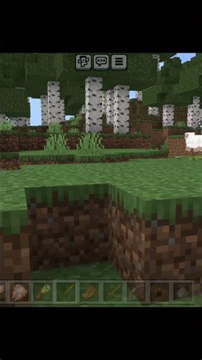 Minecraft Survival Guide 🍗 | Animal Farming & Resources #gaming