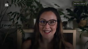 11K views · 119 reactions | This week on Candid Animal Cam we're meeting the capybara, the world's largest rodent. These large mammals are related to guinea pigs, and have a symbiotic relationship with many other animal species. Special thanks to the San Miguelito Jaguar Conservation Ranch for sharing this footage with us. Read more: https://news.mongabay.com/2020/08/what-is-a-capybara-candid-animal-cam-meets-the-worlds-largest-rodent/ | Mongabay.com | Facebook