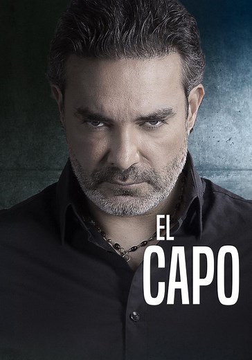 El Capo - Ver la serie online completas en español