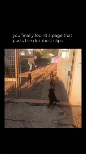 incident 143 on Instagram: "The Instagram reel features a humorous video of hands swiftly flicking through stacks of 50-yuan notes on a pink surface, demonstrating rapid manual counting while the caption jokes that the mouth cannot verbalise the numbers as quickly. This taps into a common comedic trope in Chinese social media, highlighting the dexterity required for cash handling in informal economies, where verbal tallying often lags behind physical speed. With over 266,000 views and 626 likes,