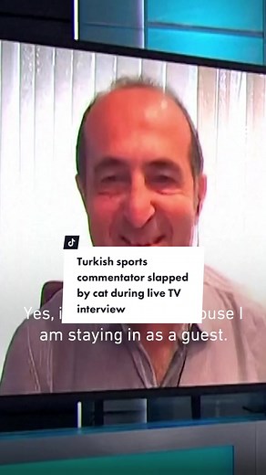Turkish Sports Commentator Slapped by Cat | Live TV Interview