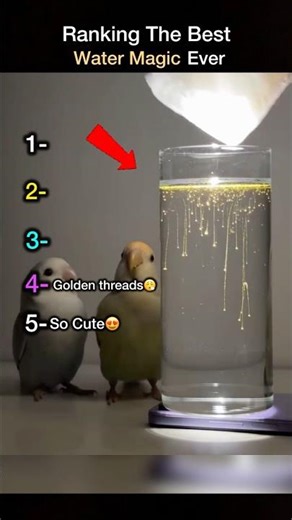 Ranking The Best Water Magic Ever #water #funny #ranking #tiktok #usa