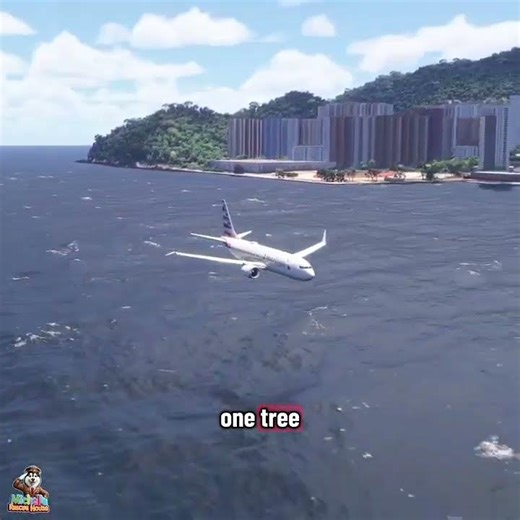 This Is What a Perfect Landing Looks Like ✈️