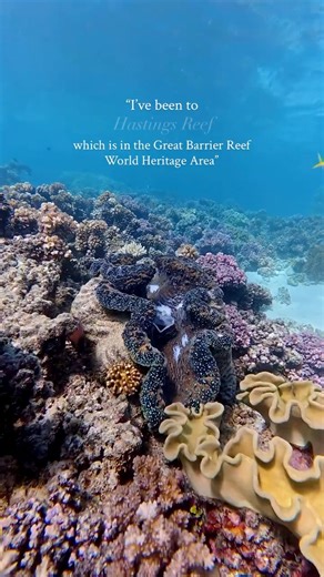 7.8K views · 238 reactions | Visiting the Great Barrier Reef isn’t limited to a one time experience. The Reef stretches over 2300km and is made up of thousands of individual reefs and over 900 islands and cays. You could explore a different part of it every day for years and still not see it all. Great Barrier Reef Marine Park Authority | Master Reef Guides | Facebook