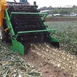 55 reactions · 3 comments | كيف يتم جني البصل ؟ | صلة | Facebook