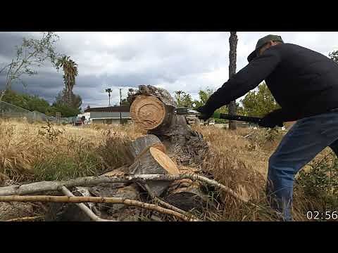 Katana Boy 650 Real Time Sawing Review