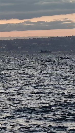 Cheb Mirou: A Glimpse into Algerian Music