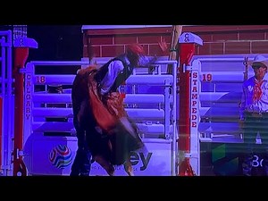 Bull Riding Day 8🇨🇦 Calgary Stampede 2025