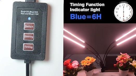 How to set the timing funciton?