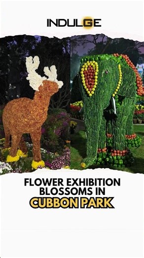 Bangalore hosts a massive flower exhibition in Cubbon Park | #shorts |