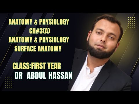 Surface Anatomy Overview: External Landmarks, Body Regions and Clinical Significance