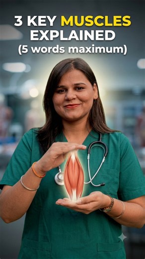 TYPES OF MUSCLES IN HUMAN BODY #anatomy #nursingofficeronline #science