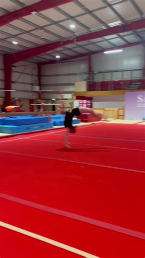 Experience the Thrill of Gymnastics