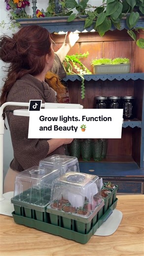 Vego Garden Grow Lights Stand for Indoor Plants (Full Spectrum LED) makes it easy to grow fresh herbs and keep indoor plants thriving year-round 🌿💡 Perfect for a kitchen counter herb garden, seed starting, and low-light homes, this full spectrum grow light stand helps support healthy growth without needing a sunny window. #GrowLight #IndoorHerbGarden #IndoorPlants #SeedStarting #VegoGarden