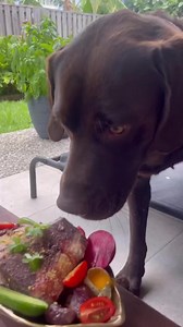 17K views · 179 reactions | #rawfeeding #rawfeddog #rawfed #rawdogfood #barfdiet #barf #caninenutrition #dogasmr #dogmukbang | Old Antique | Facebook